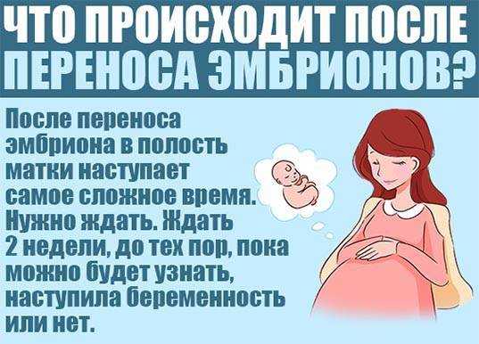 Что делать, если вы решились на эко: подробный план действий