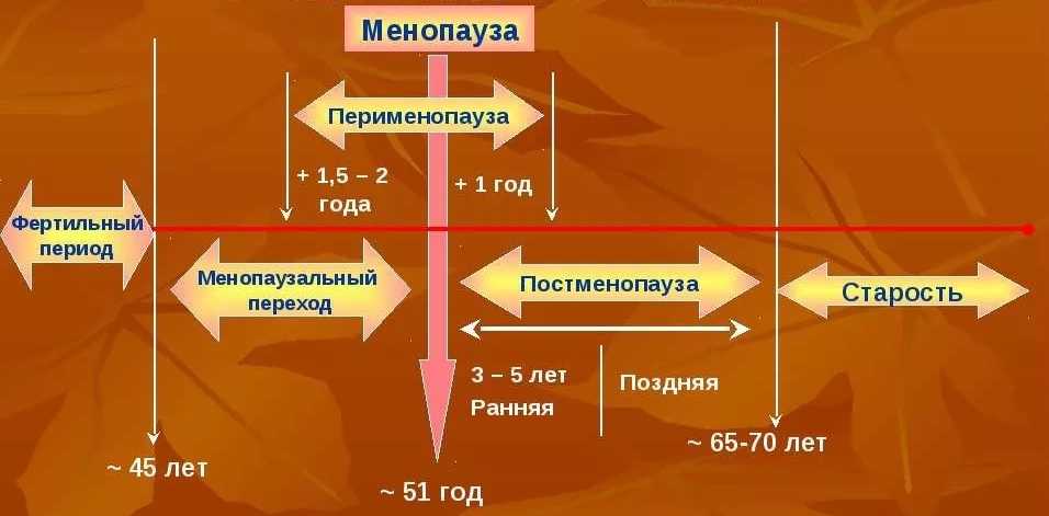 Топ 15 причин задержки месячных кроме беременности
