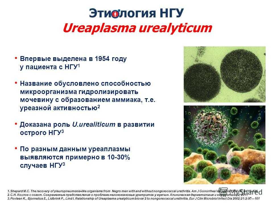 Уреаплазма уреалитикум схема лечение у женщин