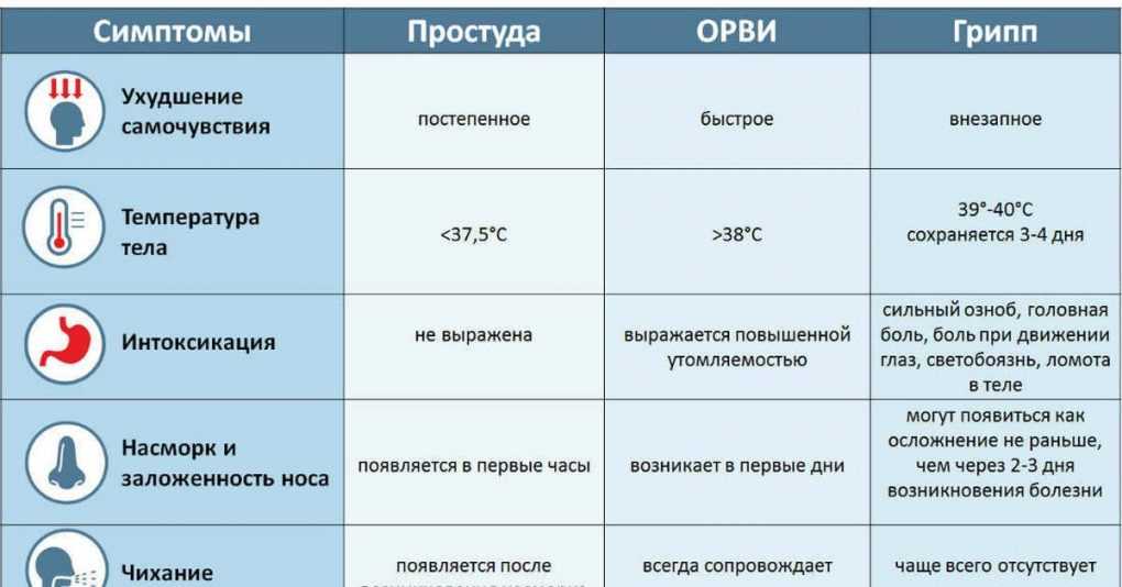Питание для улучшения спермограммы, полезные продукты и диета