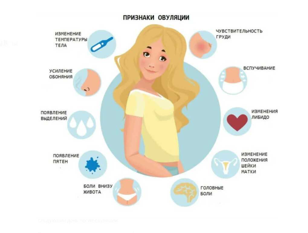 Базальная температура при беременности на ранних сроках и при овуляции
