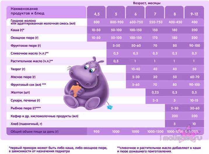 Как начинать прикорм в 6 месяцев при грудном вскармливании схема по дням