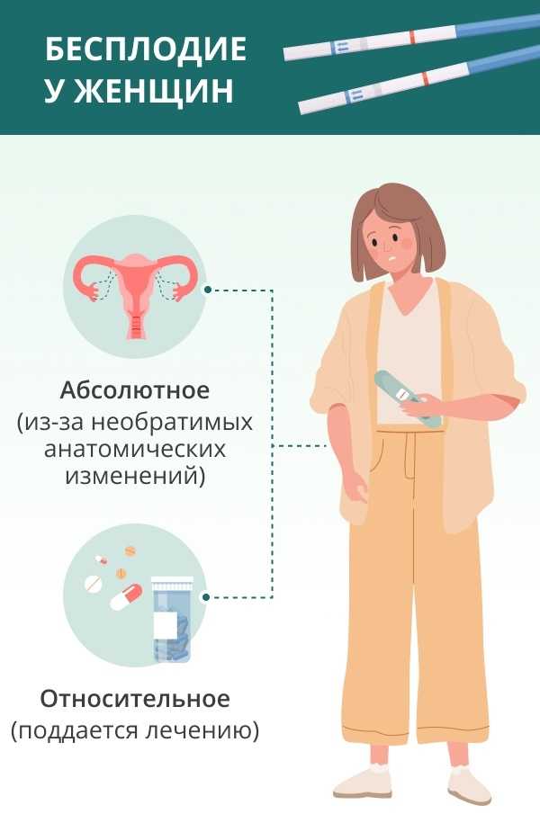 Яичники - строение, функции, что полезно для здоровья яичников