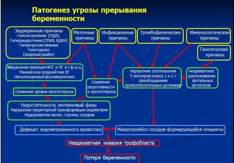 Карта смп угроза прерывания беременности