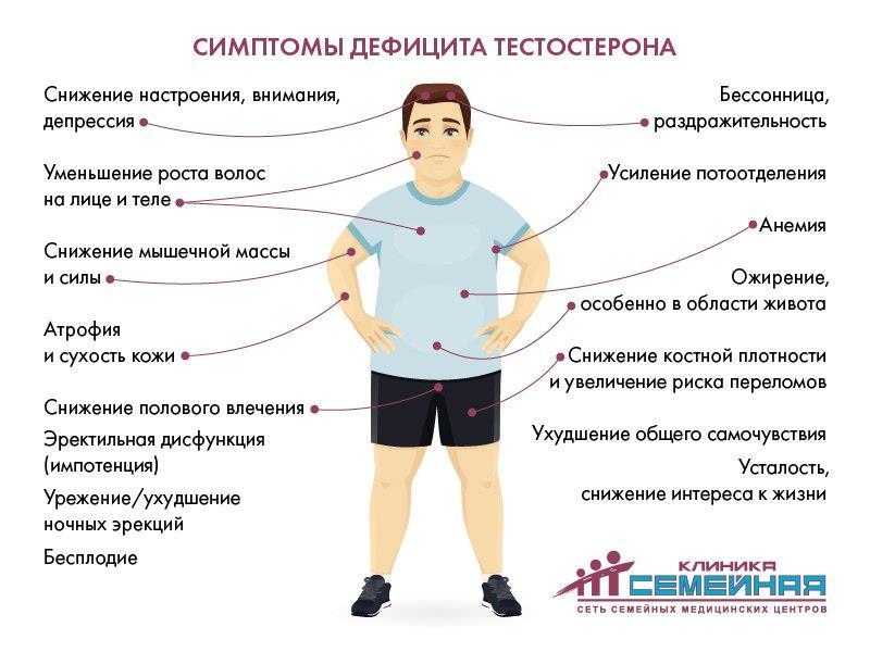 Тестостерон