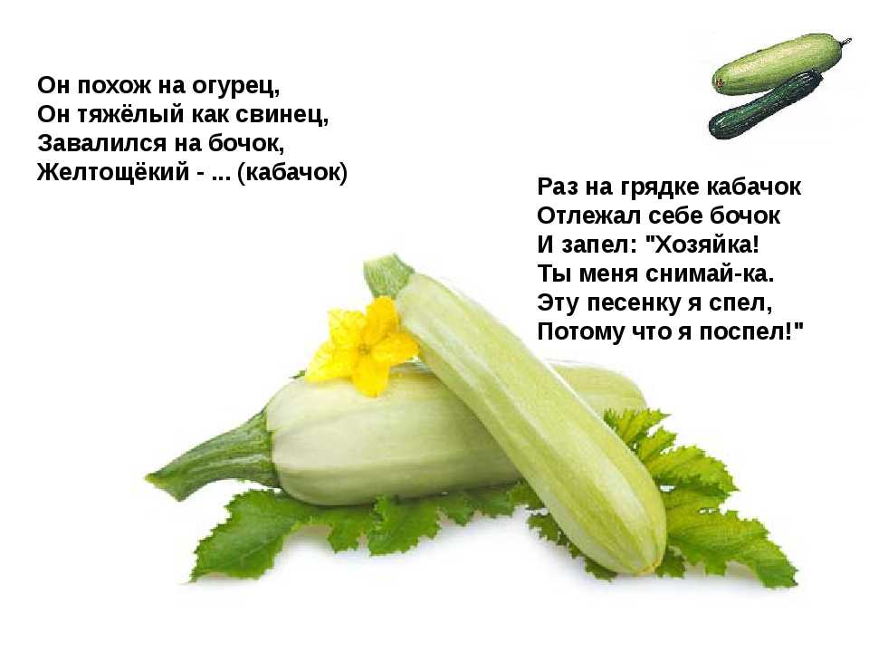 100 стихов про овощи для детей: короткие и легкие