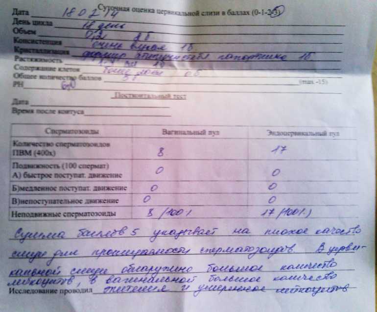 Диагностика бесплодия: что делать если не забеременеть
