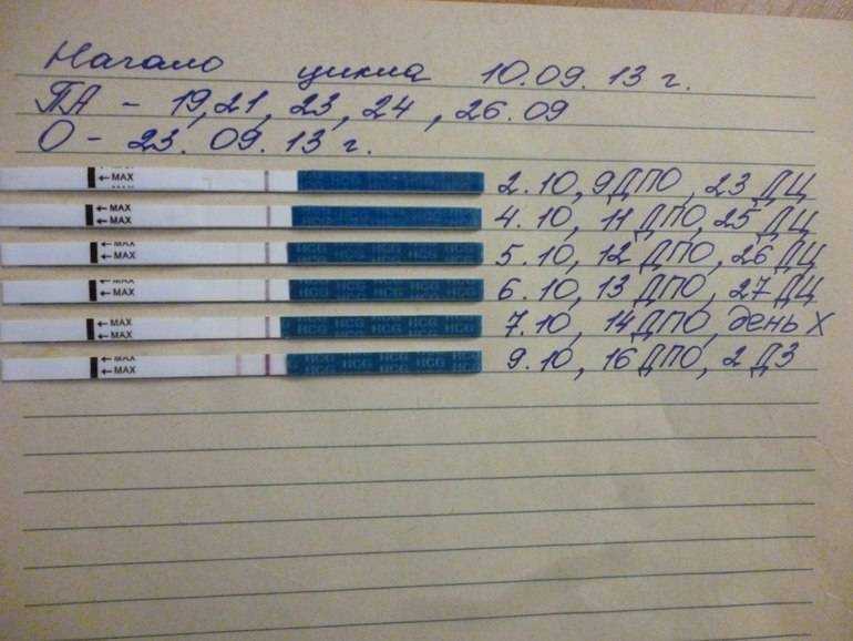 Когда происходит овуляция?