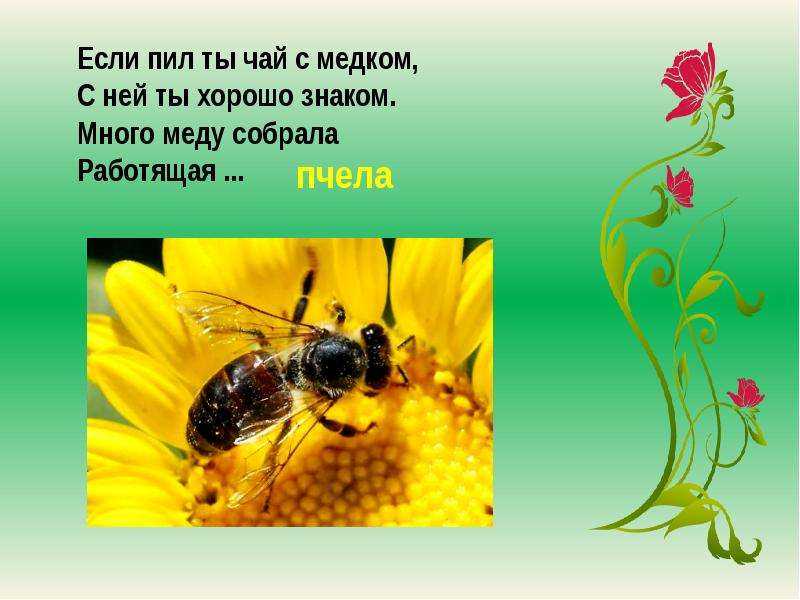 Короткие загадки про весну с ответами для дошкольников 3-4 и школьников 6-7 лет. простые и сложные загадки детям 1, 2 и 3 классов