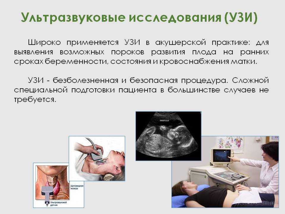 Миома матки: клинические проявления, развитие заболевания, его диагностика и лечение